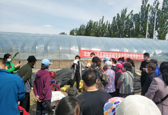 平谷贫困人口_平谷大桃(2)