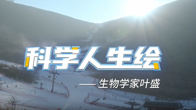 科学人生绘丨生物学家叶盛的跨界探索